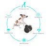 PawPartner Dog Tumbler Interactive Toys Increases Pet IQ Slow Feeder Labrador French Bulldog Swing Training Food Dispenser