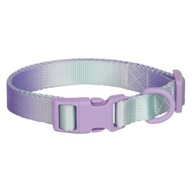 Large Anti-rust Gradient In Dog Collar (Option: Purple Green-M)