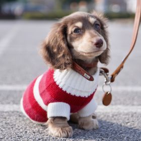 Sausage Dog Clothes Small Dog Cat Warm Thickened Sweater (Option: Red And White Striped Sweater-AS)